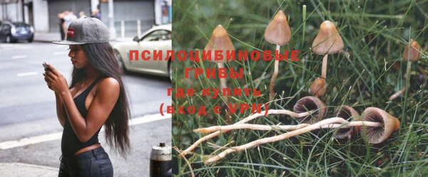 гидропоника Нязепетровск