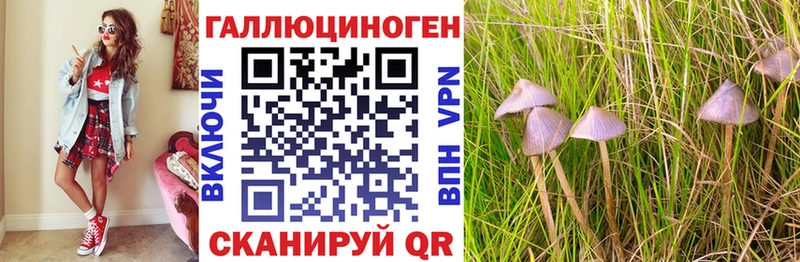 Псилоцибиновые грибы MAGIC MUSHROOMS  Костомукша 
